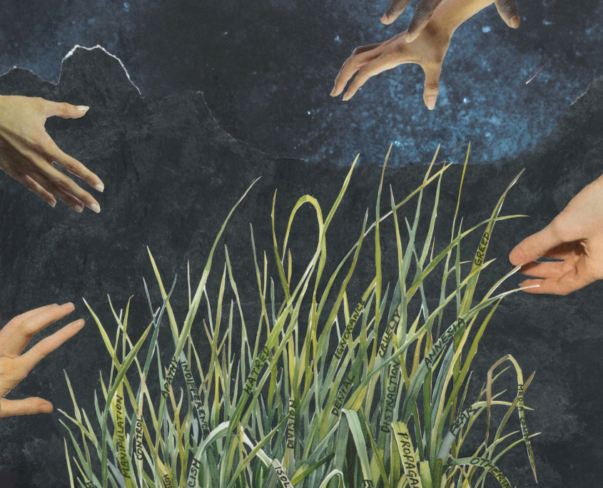 Andrea Lee: Weeding An Authoritarian Garden